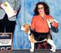 Adele Best in Sweepstakes Blossom Valley Beagle Specialty
